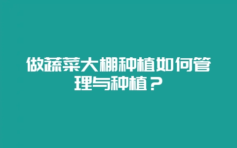 做蔬菜大棚种植如何管理与种植？-会东网