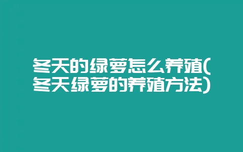 冬天的绿萝怎么养殖(冬天绿萝的养殖方法)-会东网
