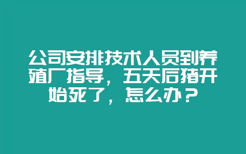 公司安排技术人员到养殖厂指导，五天后猪开始死了，怎么办？-会东网