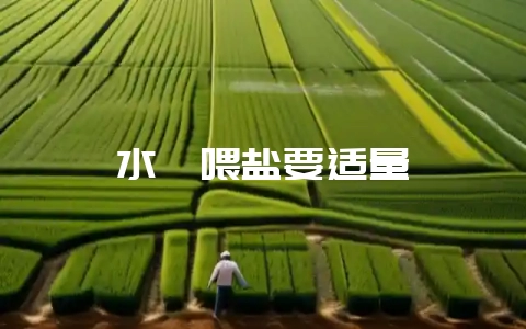 水貂喂盐要适量-会东网