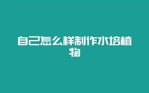 自己怎么样制作水培植物-会东网
