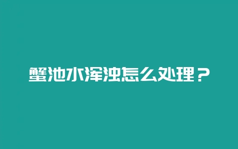 蟹池水浑浊怎么处理？-会东网