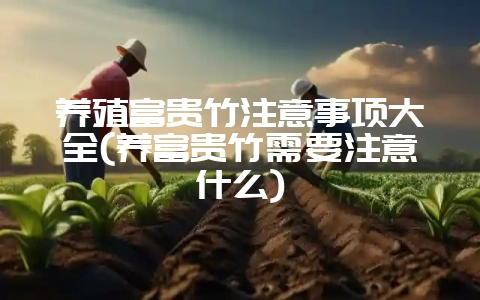 养殖富贵竹注意事项大全(养富贵竹需要注意什么)-会东网