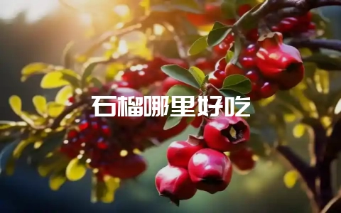 石榴哪里好吃插图 石榴哪里好吃插图