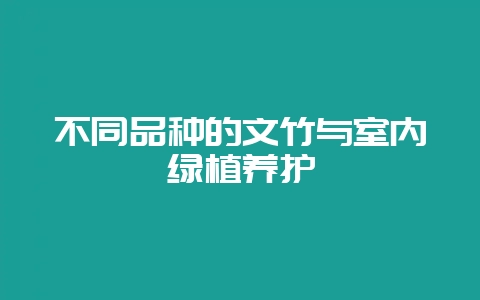 不同品种的文竹与室内绿植养护-会东网