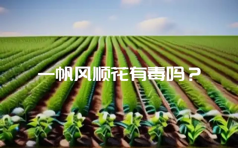 一帆风顺花有毒吗？-会东网