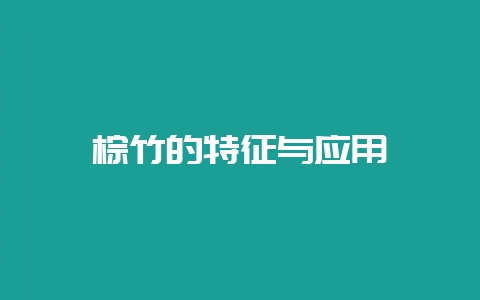 棕竹的特征与应用-会东网