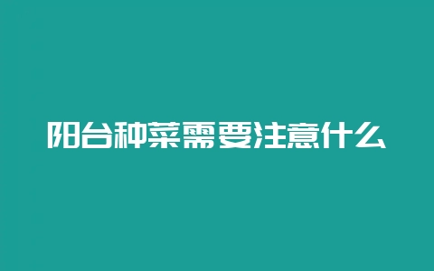 阳台种菜需要注意什么-会东网