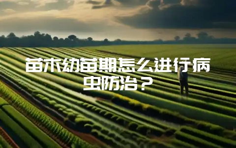 苗木幼苗期怎么进行病虫防治？-会东网