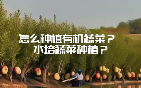 怎么种植有机蔬菜？ 水培蔬菜种植？-会东网