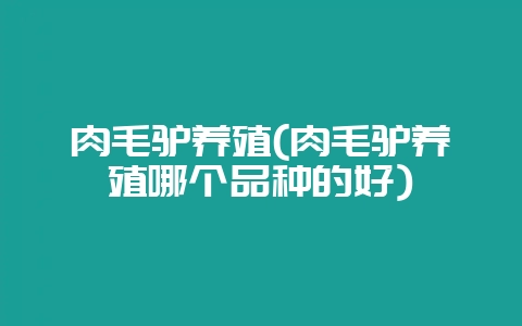 肉毛驴养殖(肉毛驴养殖哪个品种的好)-会东网