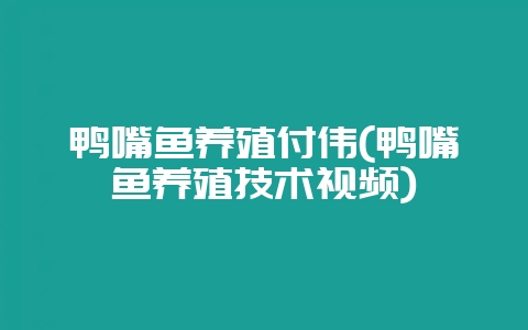 鸭嘴鱼养殖付伟(鸭嘴鱼养殖技术视频)-会东网