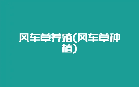 风车草养殖(风车草种植)-会东网