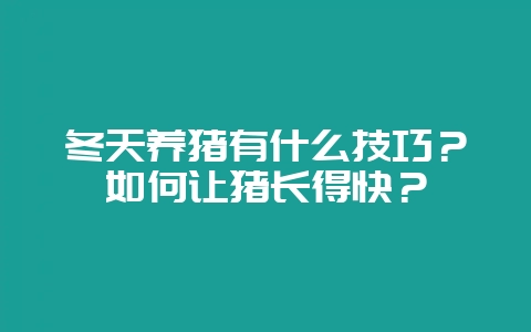 冬天养猪有什么技巧？如何让猪长得快？-会东网