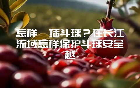 怎样扦插斗球？在长江流域怎样保护斗球安全越-会东网