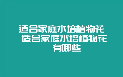 适合家庭水培植物花卉 适合家庭水培植物花卉有哪些-会东网
