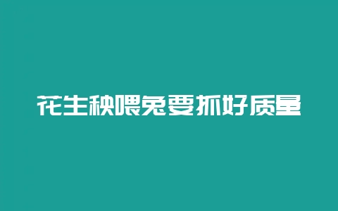花生秧喂兔要抓好质量-会东网