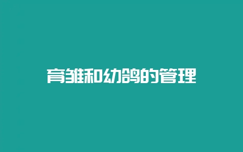 育雏和幼鸽的管理-会东网