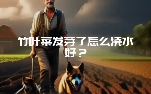 竹叶菜发芽了怎么浇水好？-会东网