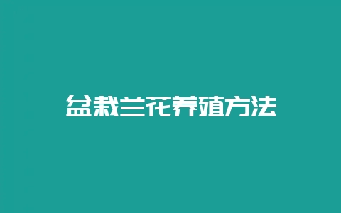 盆栽兰花养殖方法-会东网