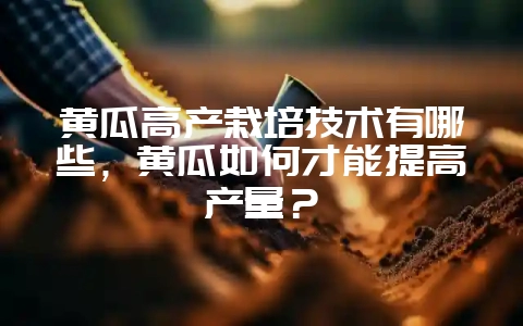 黄瓜高产栽培技术有哪些，黄瓜如何才能提高产量？-会东网