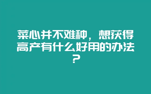 菜心并不难种，想获得高产有什么好用的办法？-会东网