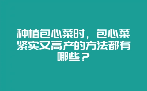 种植包心菜时，包心菜紧实又高产的方法都有哪些？-会东网