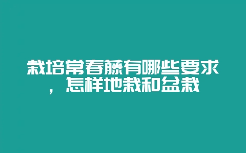 栽培常春藤有哪些要求，怎样地栽和盆栽-会东网
