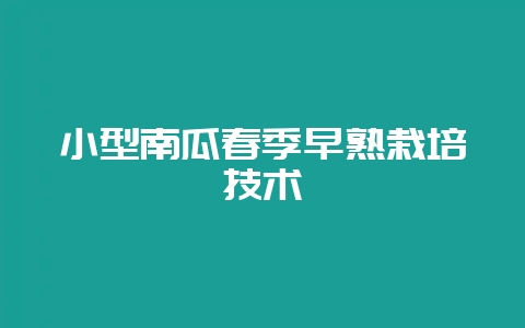 小型南瓜春季早熟栽培技术-会东网