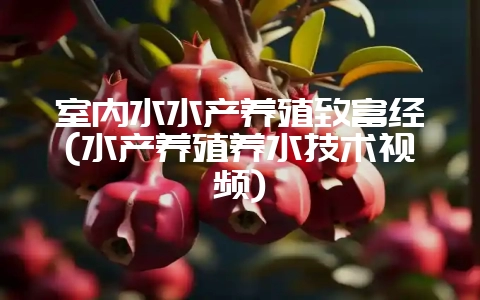 室内水水产养殖致富经(水产养殖养水技术视频)-会东网