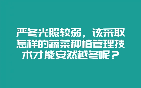 严冬光照较弱，该采取怎样的蔬菜种植管理技术才能安然越冬呢？-会东网