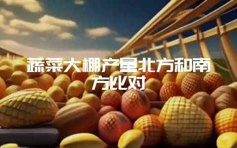 蔬菜大棚产量北方和南方比对-会东网