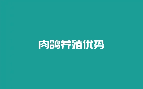 肉鸽养殖优势-会东网