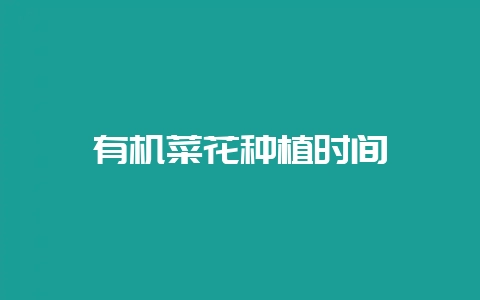 有机菜花种植时间-会东网