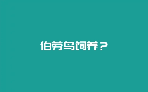 伯劳鸟饲养?-会东网