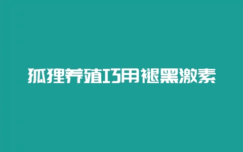 狐狸养殖巧用褪黑激素-会东网