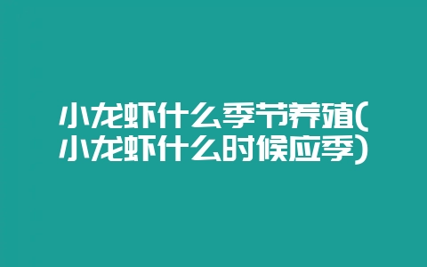 小龙虾什么季节养殖(小龙虾什么时候应季)-会东网
