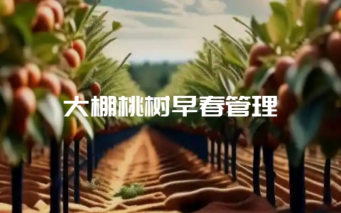 大棚桃树早春管理-会东网