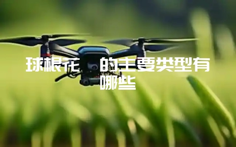 球根花卉的主要类型有哪些-会东网