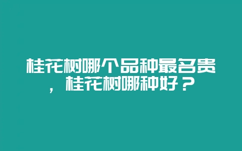 桂花树哪个品种最名贵，桂花树哪种好？-会东网