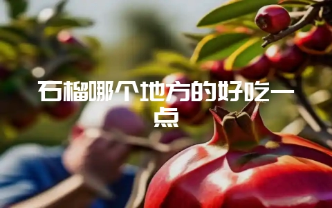 石榴哪个地方的好吃一点插图 石榴哪个地方的好吃一点插图