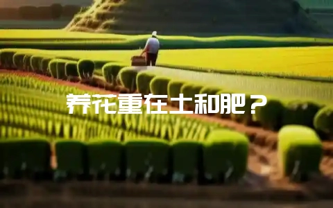 养花重在土和肥？-会东网