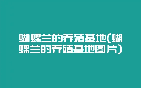 蝴蝶兰的养殖基地(蝴蝶兰的养殖基地图片)-会东网
