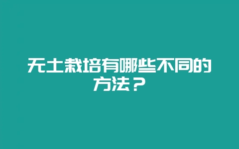 无土栽培有哪些不同的方法？-会东网