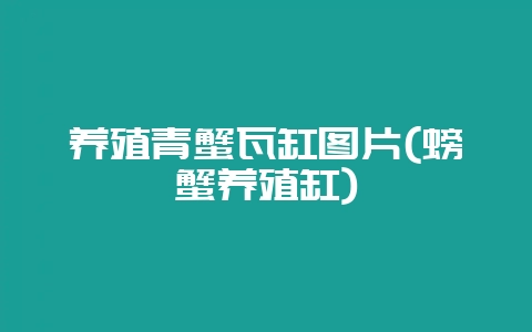 养殖青蟹瓦缸图片(螃蟹养殖缸)-会东网