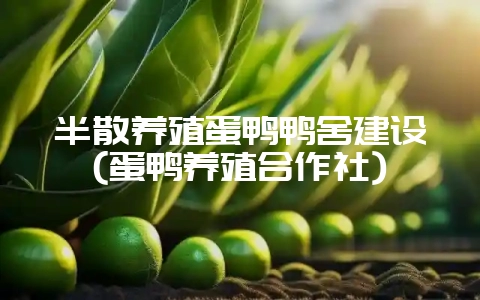 半散养殖蛋鸭鸭舍建设(蛋鸭养殖合作社)-会东网