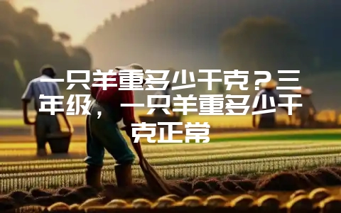 一只羊重多少千克？三年级，一只羊重多少千克正常-会东网