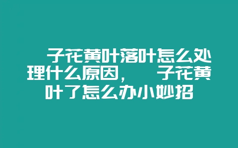 栀子花黄叶落叶怎么处理什么原因,栀子花黄叶了怎么办小妙招-会东网