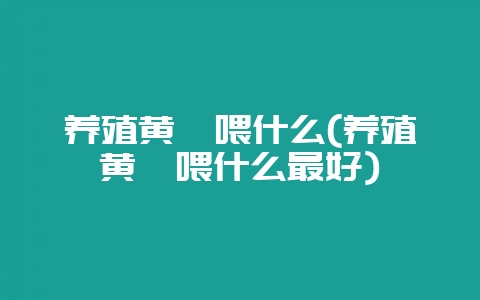 养殖黄鳝喂什么(养殖黄鳝喂什么最好)-会东网