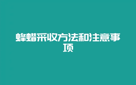 蜂蜡采收方法和注意事项-会东网